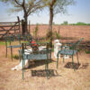 Sutra Living chica - Imagen 2