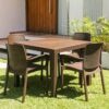 Juego Simil Rattan ×4 - Imagen 2